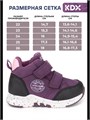 Ботинки демисезонные SKY-09 purple