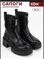 Ботинки демисезонные на платформе DLN-08 black