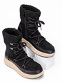 Сапожки осенние с мехом TPW-02 black