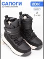 Ботинки зимние FL-02 black